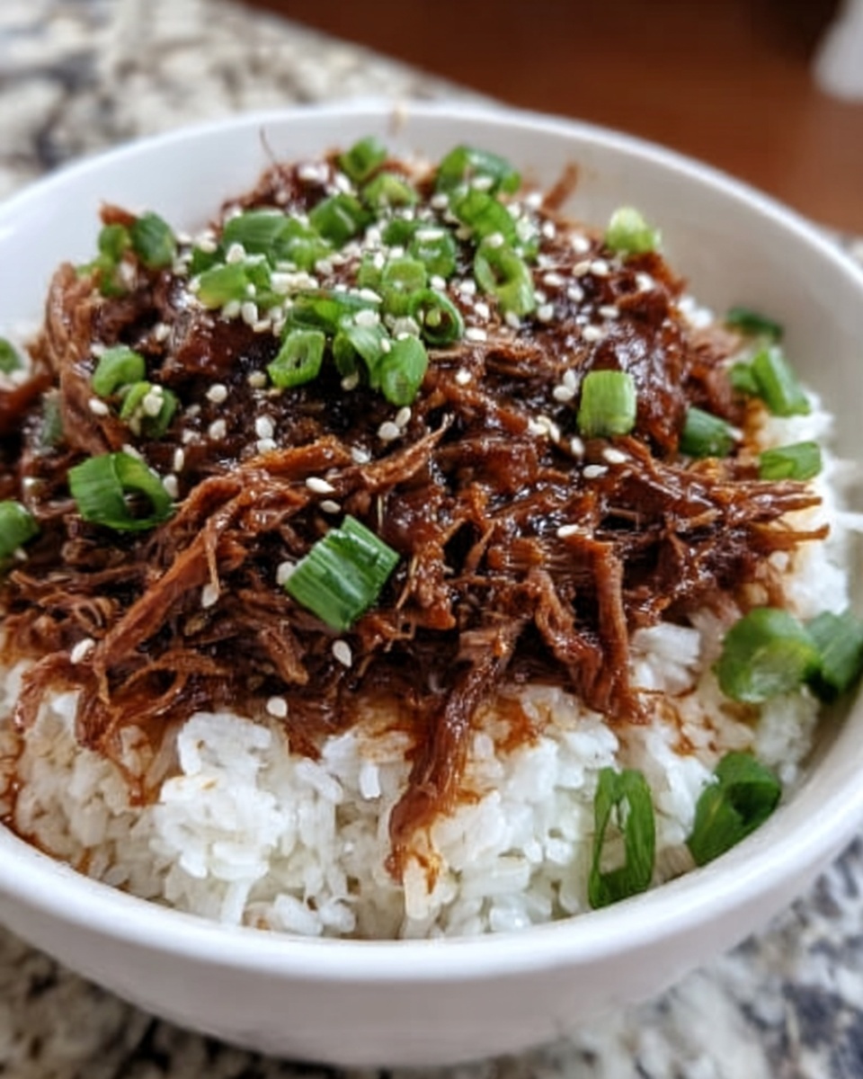 Sweet and Spicy Korean Beef Stew Recipe - Recipe Image